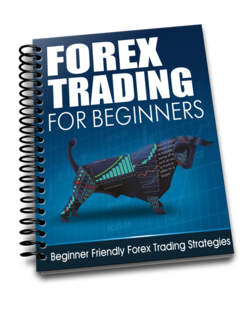 Beginners Guide to FOREX Trading - This free report is perfect for the total beginner. With easy to understand language it walks you through the essential basics and helps you to feel comfortable in the incredibly lucrative and exciting world of forex trading.