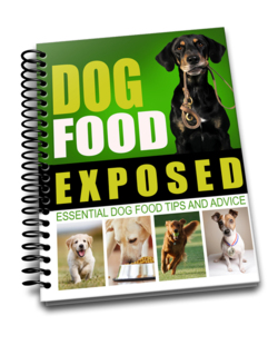Dog Health Exposed - 35 Top Health Tips That All Dog Lovers Need To Know